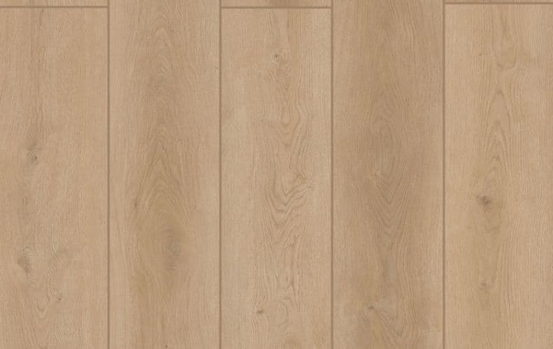 Indoor Delight Forest Timber